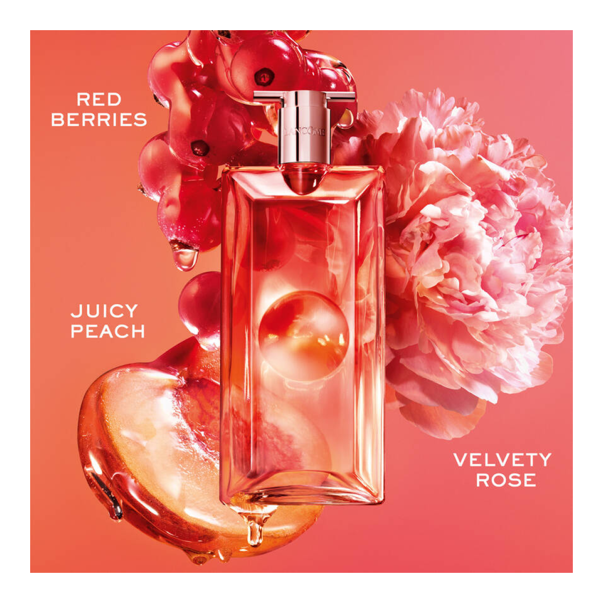 Idôle Peach'N Roses - Avis Parfums